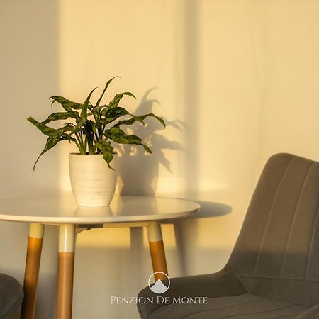 Penzion De Monte Horní Planá Zewnętrze zdjęcie